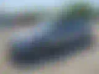 Vehicle Image- 2016 Hyundai Elantra