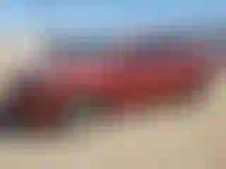 Vehicle Image- 2016 Hyundai Sonata