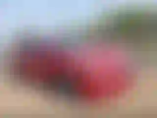 Vehicle Image- 2017 Hyundai Sonata