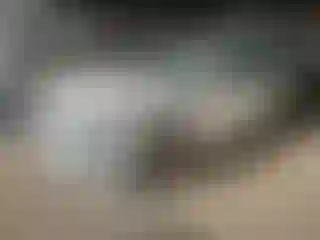 Vehicle Image- 2016 Hyundai Sonata