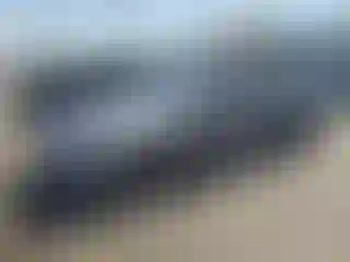 Vehicle Image- 2019 Hyundai Sonata
