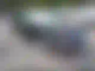 Vehicle Image- 2019 Hyundai Sonata