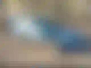 Vehicle Image- 2015 Hyundai Sonata