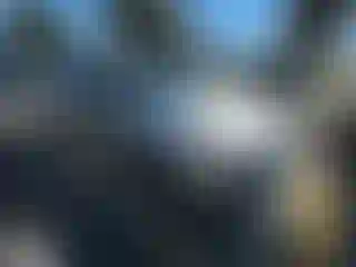 Vehicle Image- 2016 Hyundai Sonata