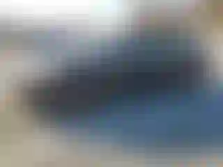 Vehicle Image- 2015 Hyundai Sonata