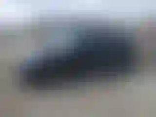 Vehicle Image- 2015 Hyundai Sonata