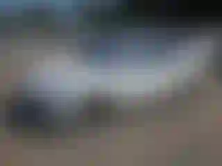 Vehicle Image- 2018 Hyundai Sonata