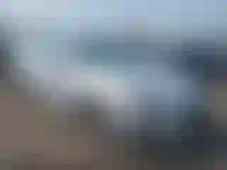 Vehicle Image- 2019 Hyundai Sonata