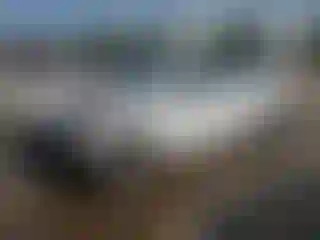 Vehicle Image- 2019 Hyundai Sonata