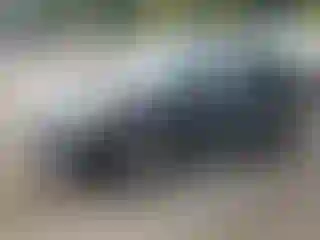 Vehicle Image- 2016 Hyundai Sonata