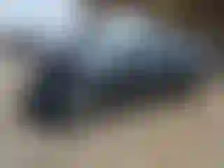 Vehicle Image- 2018 Hyundai Sonata
