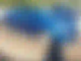 Vehicle Image- 2016 Hyundai Sonata