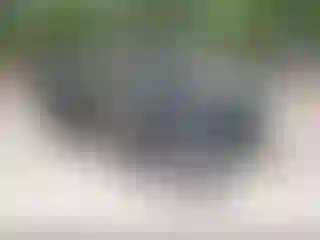 Vehicle Image- 2011 Hyundai Sonata