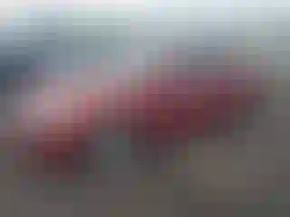 Vehicle Image- 2011 Hyundai Sonata