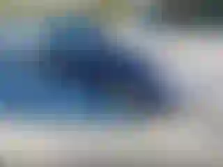 Vehicle Image- 2013 Hyundai Sonata