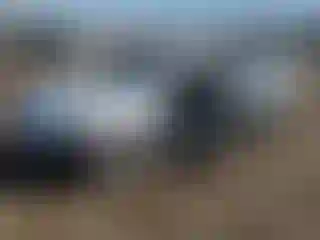 Vehicle Image- 2013 Hyundai Sonata