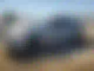 Vehicle Image- 2011 Hyundai Sonata