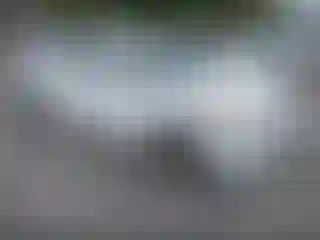 Vehicle Image- 2013 Hyundai Sonata