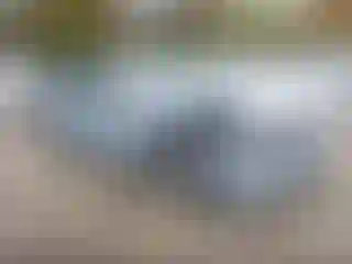 Vehicle Image- 2013 Hyundai Sonata