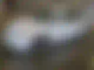 Vehicle Image- 2013 Hyundai Sonata