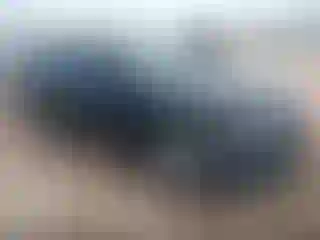 Vehicle Image- 2011 Hyundai Sonata
