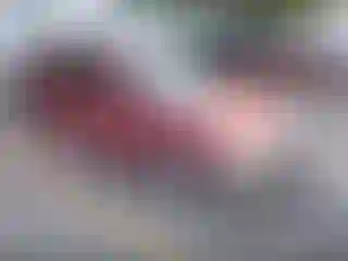 Vehicle Image- 2011 Hyundai Sonata