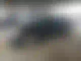 Vehicle Image- 2013 Hyundai Sonata