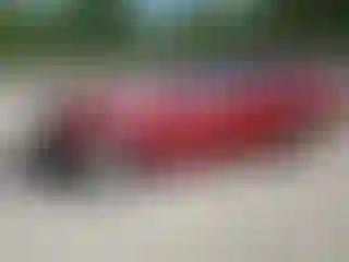 Vehicle Image- 2011 Hyundai Sonata