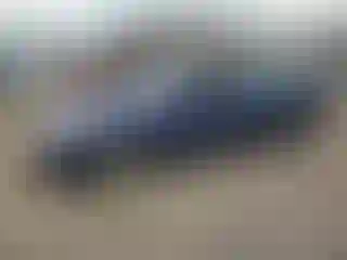 Vehicle Image- 2013 Hyundai Sonata