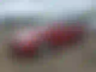 Vehicle Image- 2011 Hyundai Sonata