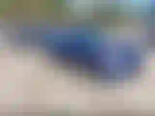 Vehicle Image- 2013 Hyundai Sonata