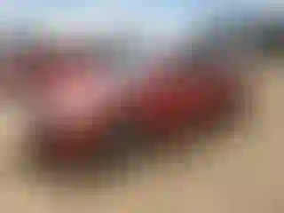 Vehicle Image- 2011 Hyundai Sonata
