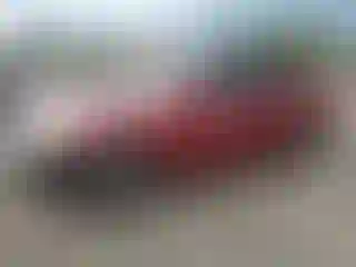 Vehicle Image- 2011 Hyundai Sonata