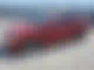 Vehicle Image- 2013 Hyundai Sonata