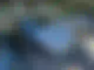 Vehicle Image- 2013 Hyundai Sonata