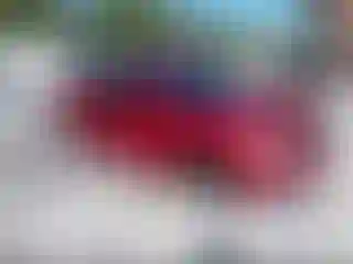 Vehicle Image- 2014 Hyundai Sonata