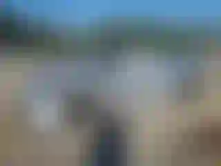 Vehicle Image- 2014 Hyundai Sonata