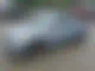 Vehicle Image- 2011 Hyundai Sonata