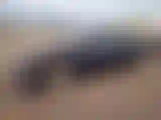 Vehicle Image- 2012 Hyundai Sonata