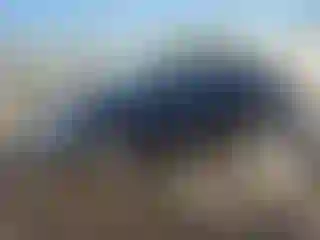 Vehicle Image- 2013 Hyundai Sonata