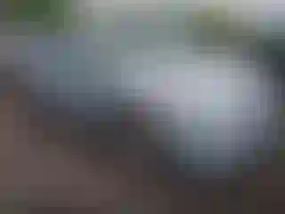 Vehicle Image- 2013 Hyundai Sonata