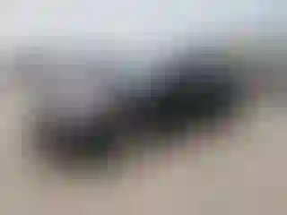 Vehicle Image- 2011 Hyundai Sonata