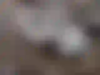 Vehicle Image- 2011 Hyundai Sonata