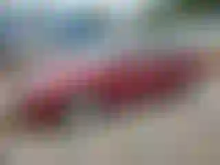 Vehicle Image- 2011 Hyundai Sonata