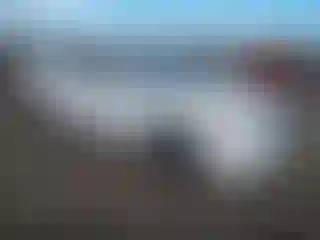 Vehicle Image- 2011 Hyundai Sonata