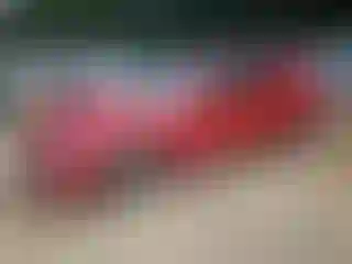 Vehicle Image- 2021 Hyundai Sonata