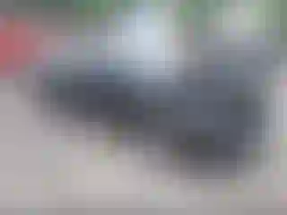 Vehicle Image- 2021 Hyundai Sonata