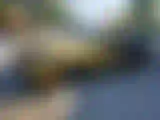Vehicle Image- 2020 Hyundai Sonata