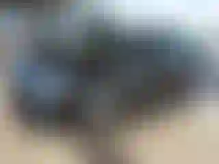 Vehicle Image- 2020 Hyundai Sonata