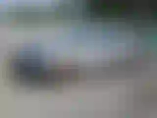 Vehicle Image- 2020 Hyundai Sonata